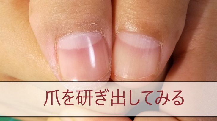 ネイリストさん顔負け 爪を輝かせる方法 脱 積んどくモデラー宣言